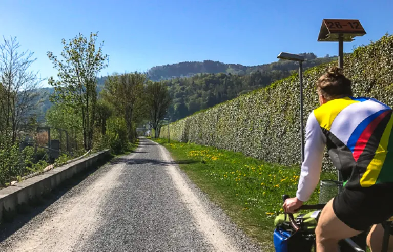 Racefietsers op de weg