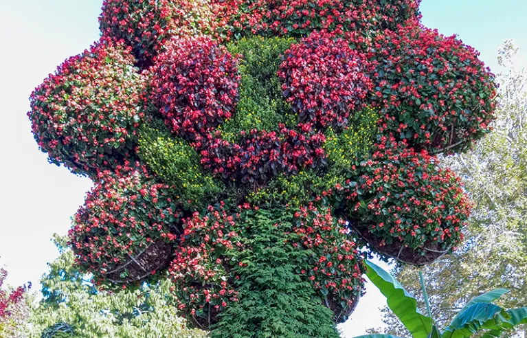 Bloemeneiland Mainau