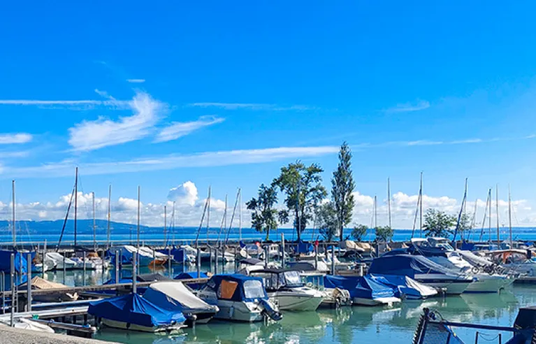 Uitzicht op het Bodenmeer