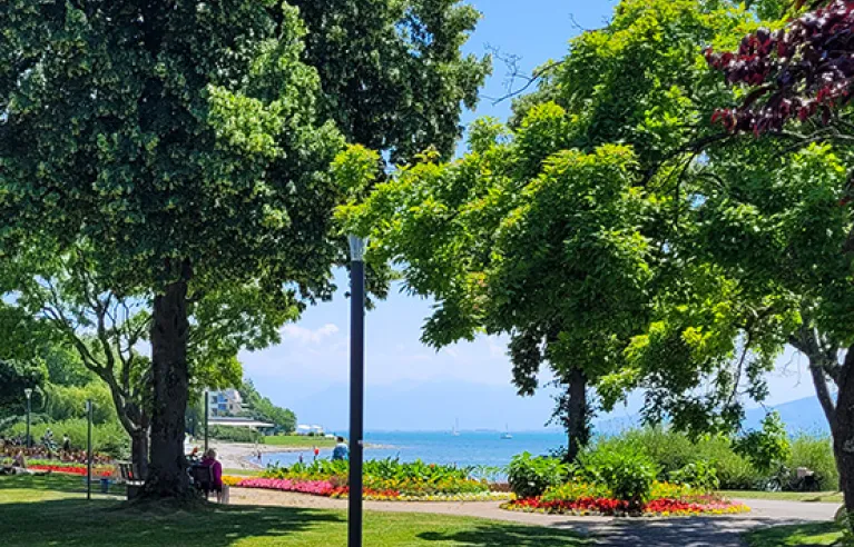 Reisverslag: Bodenmeer fietstocht in het weekend
