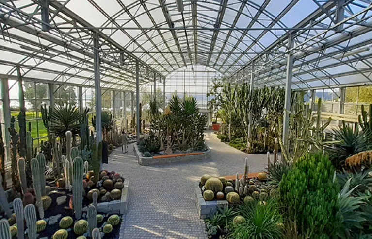 Cactus serre in Überlingen