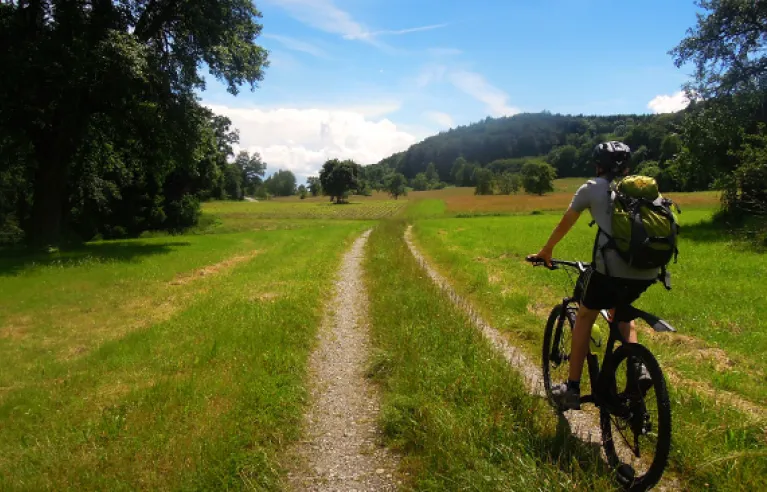 Mountainbike Bodanrück