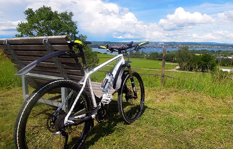 Mountainbike Bodensee Bodanrück