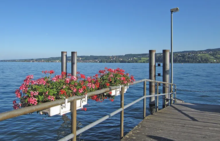 Eiland Reichenau steiger