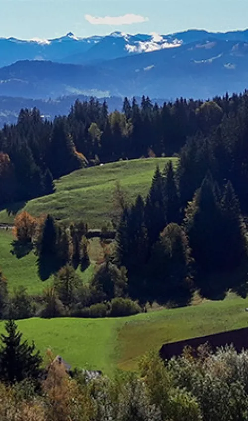 Uitzicht vanaf de Pfänder