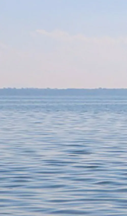 Uitzicht op het Bodenmeer