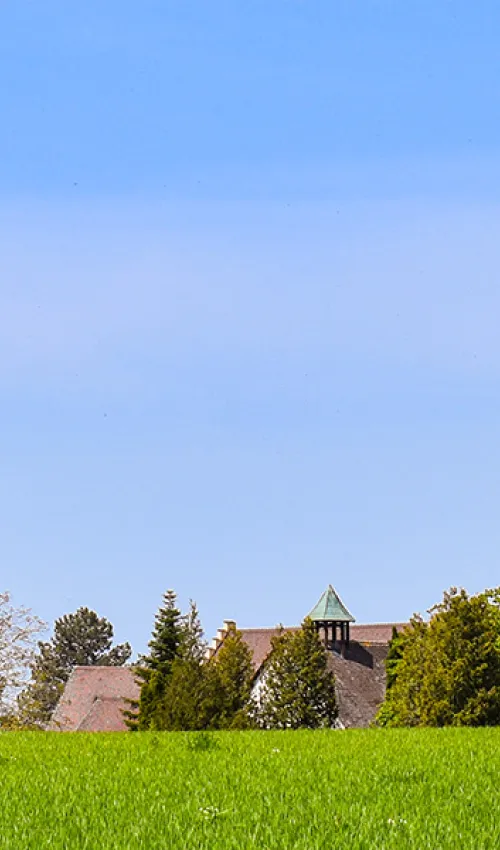 Auf der Insel Reichenau