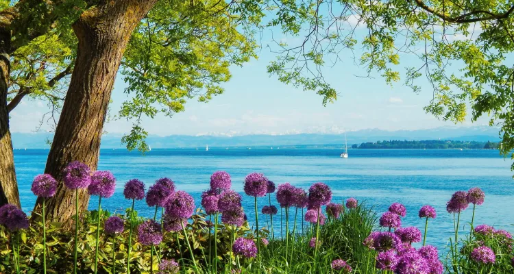 Eiland Mainau