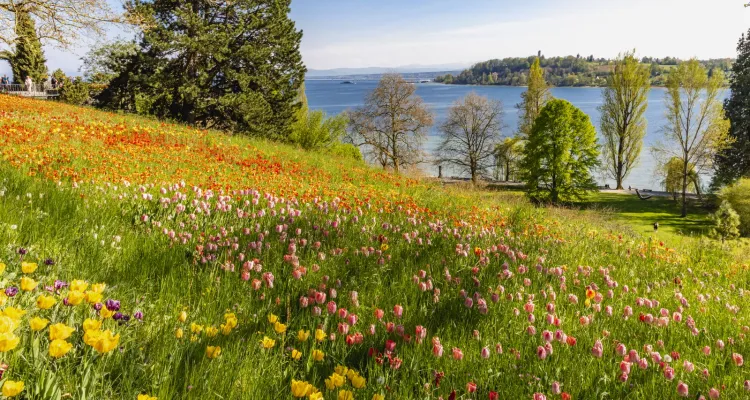 Bloemeneiland Mainau