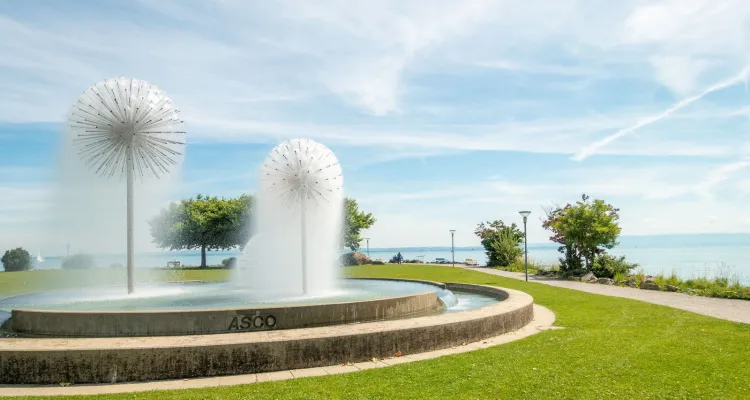 Romanshorn, Asco fontein