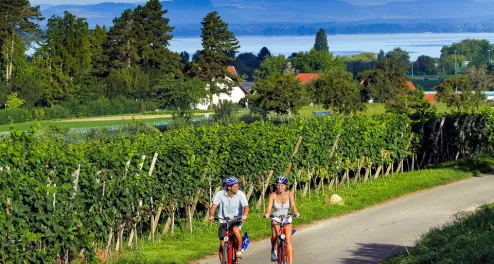 Fahrradtour um den Bodensee für Sportliche